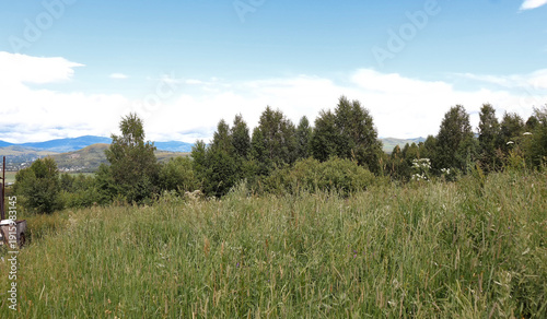 Beautiful summer landscape with green forest, rolling hills and mountains under cloudy sky. Scenic countryside meadow with wild grass and peaceful nature view.