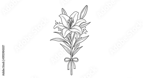 Elegant Lily Flower Bouquet Line Art Illustration