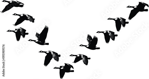 Flying Geese Silhouette Formation with Migrating Birds in V Shape Vector Illustration for Wildlife Nature, Travel and Seasonal Design