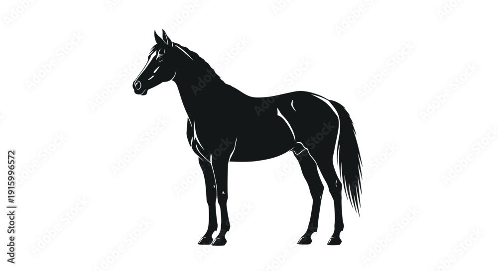 Obraz premium Striking black and white silhouette illustration of a proud, muscular horse standing still showcasing its refined physique against a clean background perfect for design.