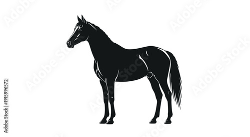 Striking black and white silhouette illustration of a proud, muscular horse standing still showcasing its refined physique against a clean background perfect for design.