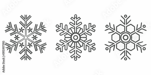Three detailed snowflake illustrations in black and white showcasing intricate symmetrical designs