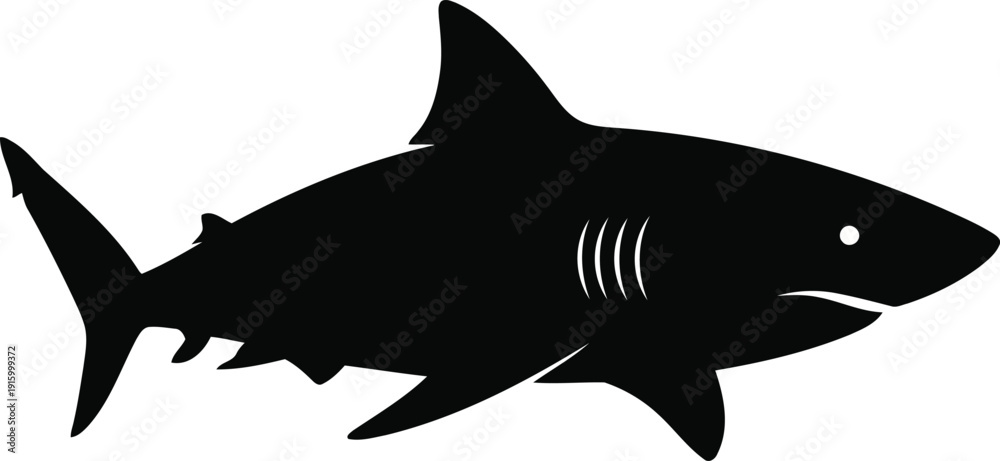 Fototapeta premium Black silhouette of a shark with fins and gills white background