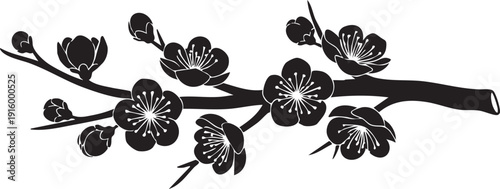 Branch with blooming cherry blossoms, black and white floral vector