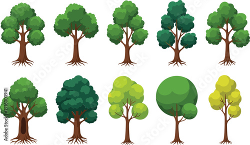 Green forest tree collection vector set with different leafy woodland plant illustrations
