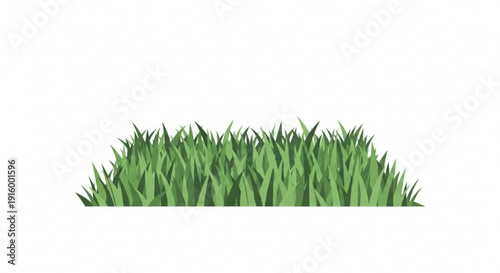 Green grass blades on white background lawn texture natural scenery