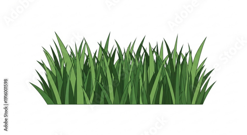 Vibrant green grass blades isolated on white background for design