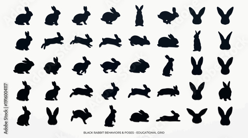 Rabbit Behavior Silhouette Collection Vector – Black Bunny Poses and Actions, Sitting, Jumping, Standing, Lying Down, Ear Movements, Animal Body Language Illustration, Creative Graphics