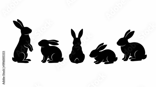 Rabbit silhouettes vector illustration with five poses, black and white design, animal posture comparison, artistic reference, minimal style, educational wildlife outline sketch vector graphic