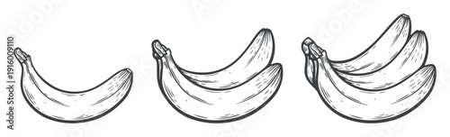 Collection of bananas, counting from one to three, set, one banana, two bananas and a bunch of bananas, engraving isolated