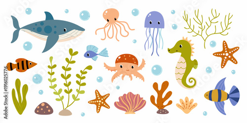 Colorful cartoon illustration of various marine life and underwater plants