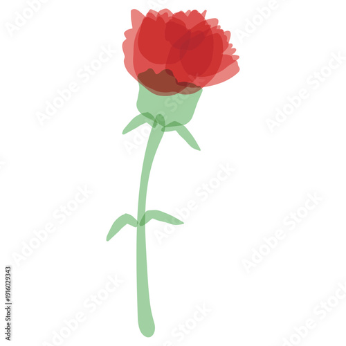 母の日のための 透け感カーネーションシリーズ｜カーネーション（一輪）
Carnation for Mother’s Day Series | Single Transparent Carnation