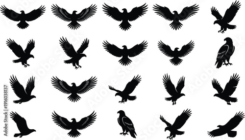 Eagle silhouette vector illustration set, bird flight poses and perched designs, wildlife artwork, and powerful patriotic graphic