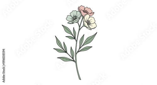 Hand Drawn Flowering Plant Illustration.