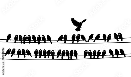 Sparrow and Bullfinch Birds Silhouette on Power Line Wires Vector Illustration