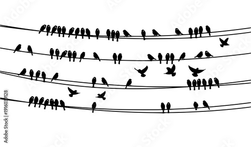 Minimal Bird Silhouette Scene with Sparrows and Bullfinches on Power Lines