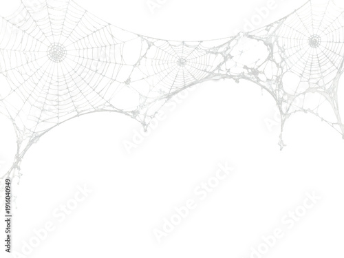 Spider web border with realistic white cobwebs on transparent background