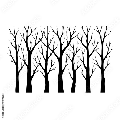 A group of barren trees standing tall against a white background.