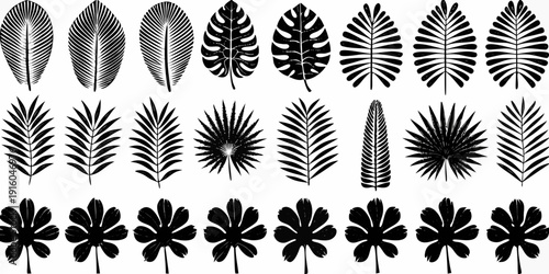 Variety of tropical leaves in a black and white botanical illustration