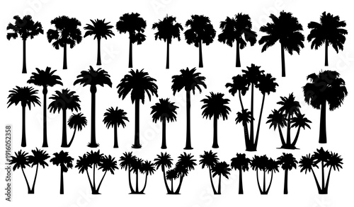 Diverse exotic palm tree silhouettes black vector set