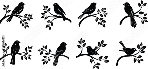 Set of minimalist black silhouette vector illustrations depicting various birds perched on different tree branches, isolated on a clean white background, graphic design elements.
