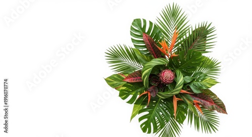Vibrant Tropical Plant Arrangement with Lush Green and Red Foliage on White Background