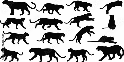 Multiple black silhouettes of tigers and cats in various poses