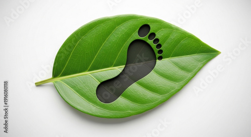 Green leaf with a footprint cutout on a white background symbolizing eco friendly and sustainable living concepts