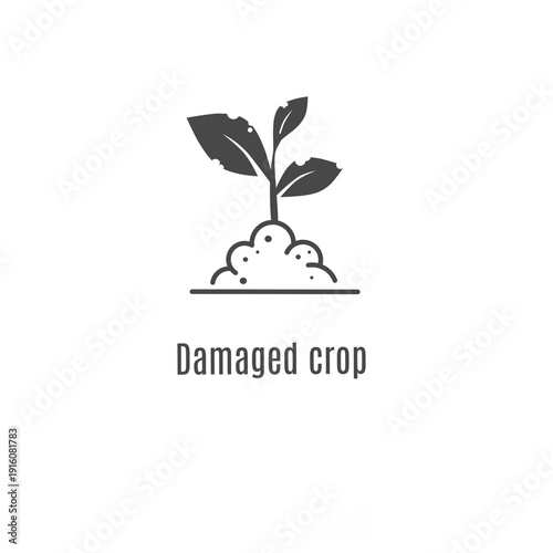 Minimalist vector icon of a damaged plant in soil with the text Damaged crop. Modern symbol for agriculture loss, plant disease, and pest impact.