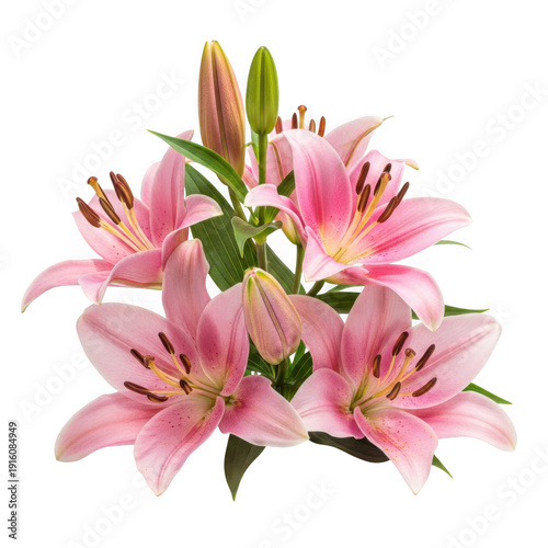 A beautiful bouquet of pink lilies with green leaves isolated on transparent background