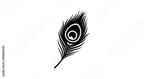 A striking black peacock feather displayed against a white background silhouette