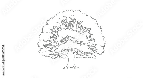 Detailed line art of a full tree with expansive branches silhouette