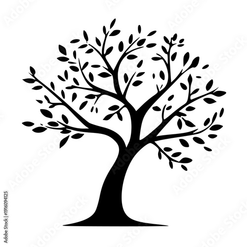 Elegant black and white illustration of a solitary tree with intricate branches