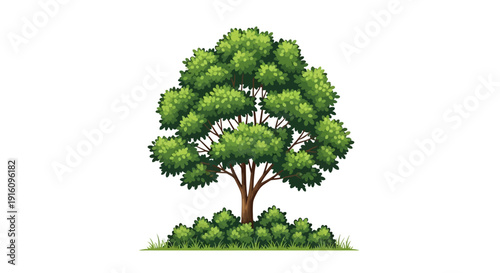 Large Green Deciduous Tree Illustration with Lush Foliage and Garden Shrubbery Base
