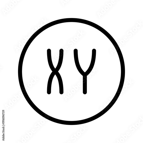 Distinctive XY Chromosome Icon Bundle for Genetic Gender Science and Professional DNA Research
