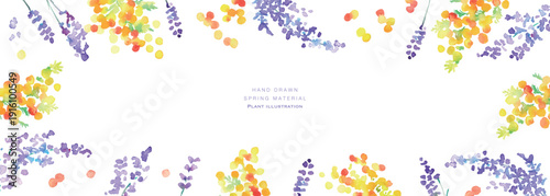 水彩画。水彩タッチのラベンダーベクターイラスト。ラベンダーの春植物背景。Watercolor painting. Watercolor lavender vector illustration. Lavender spring plant background.