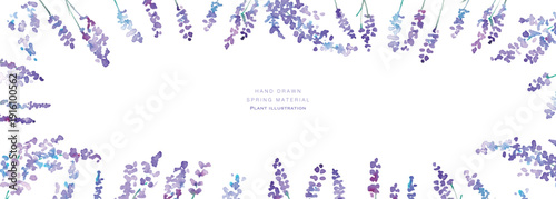 水彩画。水彩タッチのラベンダーベクターイラスト。ラベンダーの春植物背景。Watercolor painting. Watercolor lavender vector illustration. Lavender spring plant background.