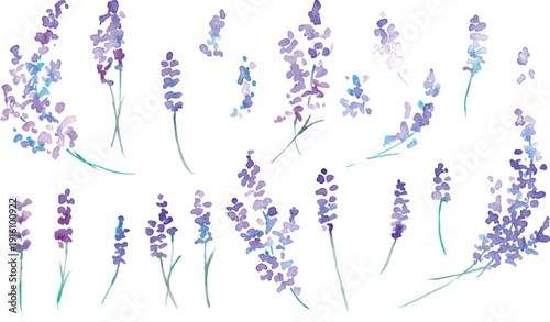 水彩画。水彩タッチのラベンダーベクターイラスト。ラベンダーの春植物背景。Watercolor painting. Watercolor lavender vector illustration. Lavender spring plant background.