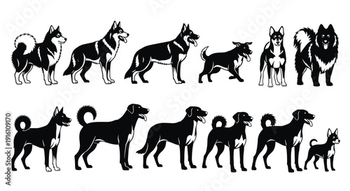 Collection of Diverse Dog Breeds Illustration, Featuring Various Canines in Standing and Alert Poses for Pet Care and Veterinary Design,