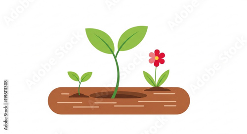 Three green seedlings and pink flower growing in brown soil block on white background symbolizing growth and nature