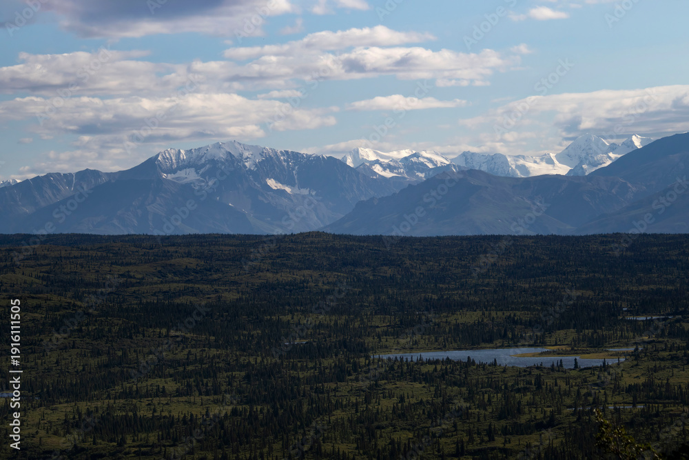 Fototapeta premium Lake below mountains on summer day in interior Alaska