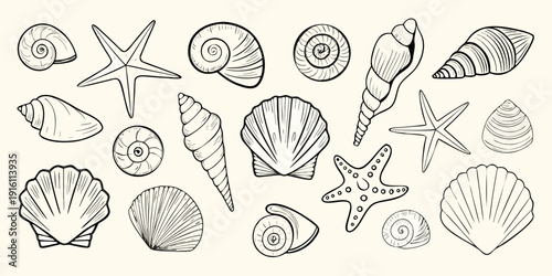 A collection of delicately drawn seashells and starfish in black and white