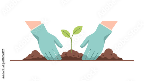 Hands in gloves planting a young sapling in soil with careful precision