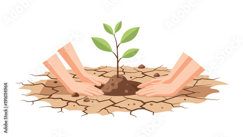 Nurturing greenery: hands cultivating life in arid land