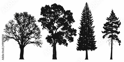 Silhouettes of four different tree types against a clean white background