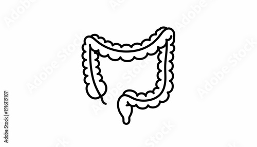 Colon Anatomy Icon, Human Intestine Outline, Digestive System Health Concept