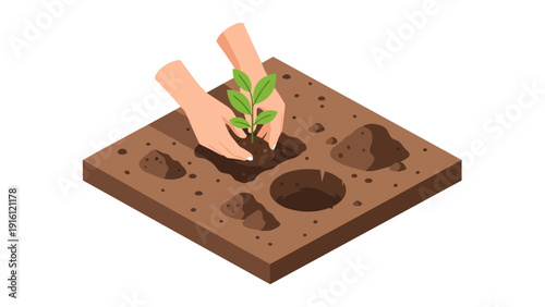 Isometric planting scene with hands and seedling in soil