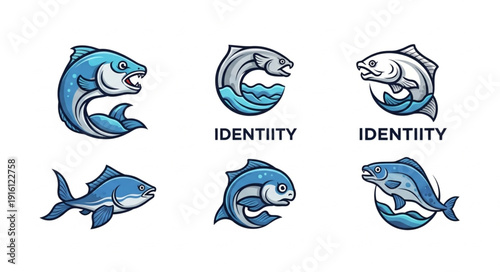 Dolphin Logos with Identity Text.