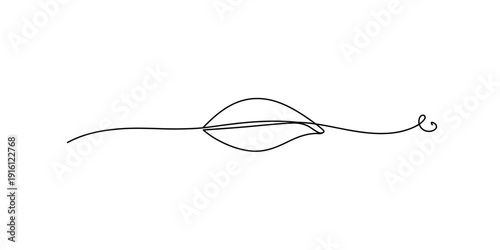 A simple black and white line drawing of a single leaf on a horizontal vine with a curl. Vector, illustration