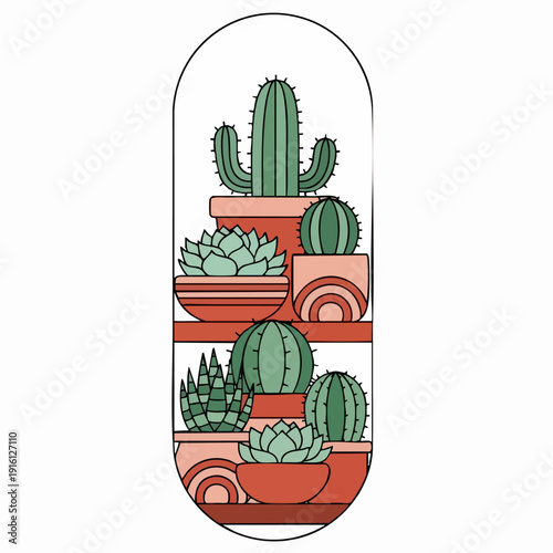Collection of Potted Cacti and Succulents Displayed on Shelves.